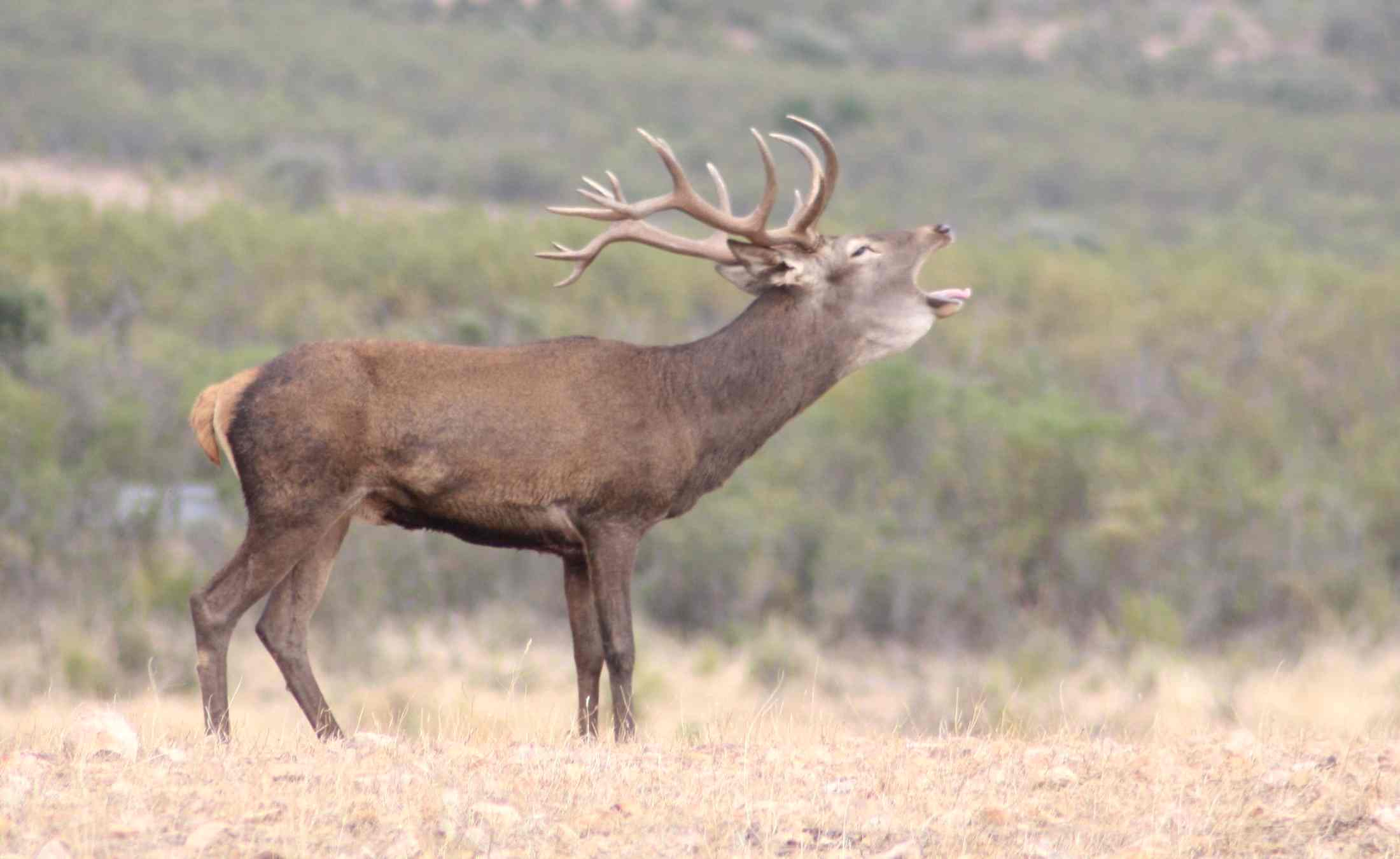 Plan de Conservacion del Medio Natural