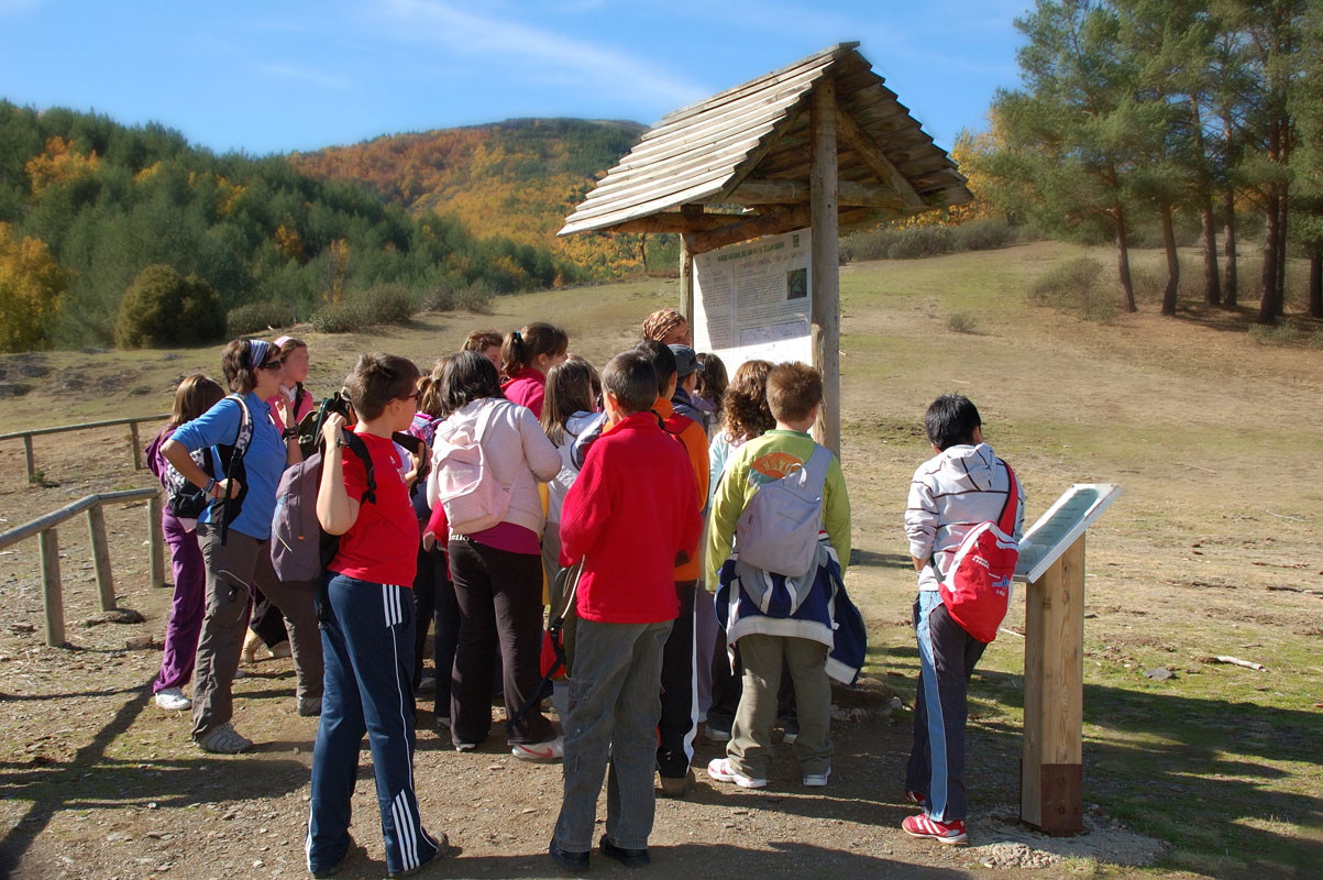 Educación Ambiental