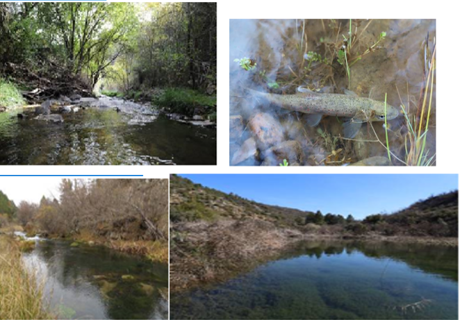 Proyecto de Decreto Refugios de Pesca