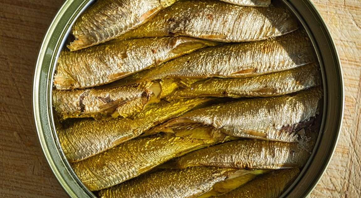 pesca.jpg