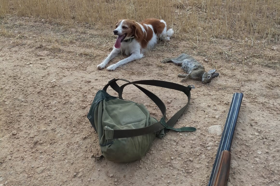 Reglamento General de aplicación de la Ley de Caza Castilla-La Mancha.