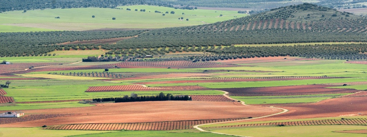 Infraestructura Verde